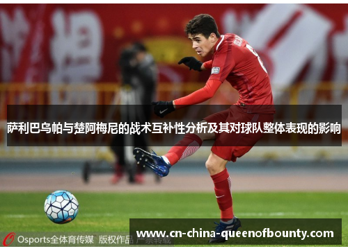 萨利巴乌帕与楚阿梅尼的战术互补性分析及其对球队整体表现的影响