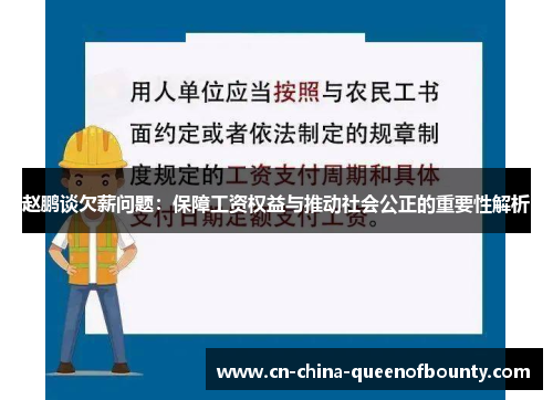 赵鹏谈欠薪问题：保障工资权益与推动社会公正的重要性解析