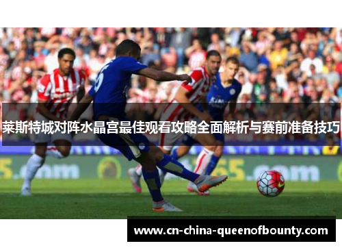 莱斯特城对阵水晶宫最佳观看攻略全面解析与赛前准备技巧