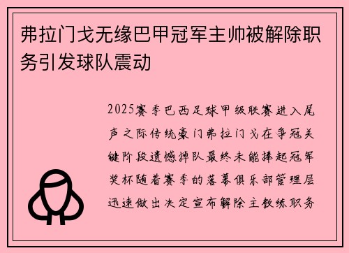 弗拉门戈无缘巴甲冠军主帅被解除职务引发球队震动